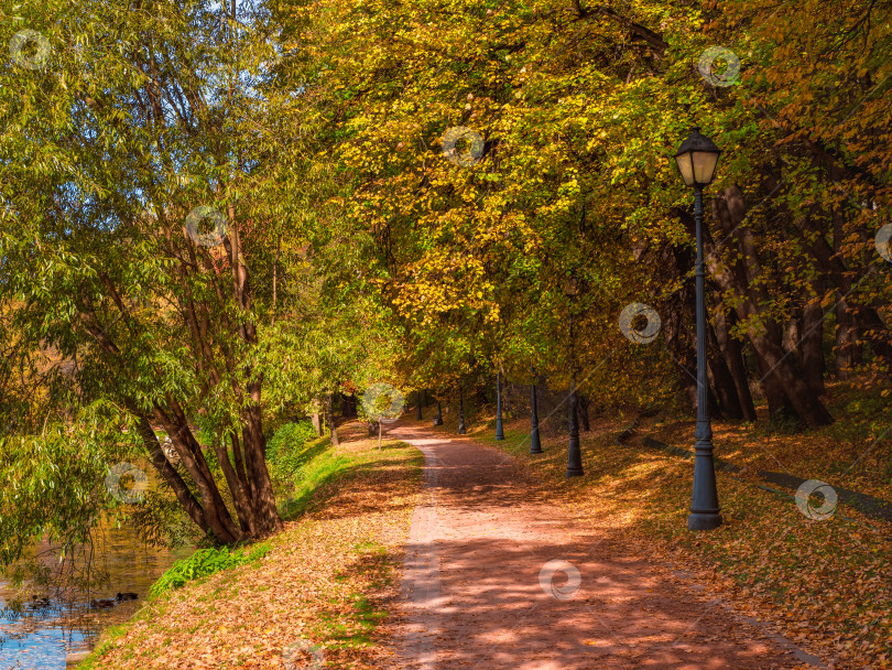 Скачать Осенняя солнечная аллея с опавшими красными листьями в пустом красивом московском парке Царицыно. фотосток Ozero