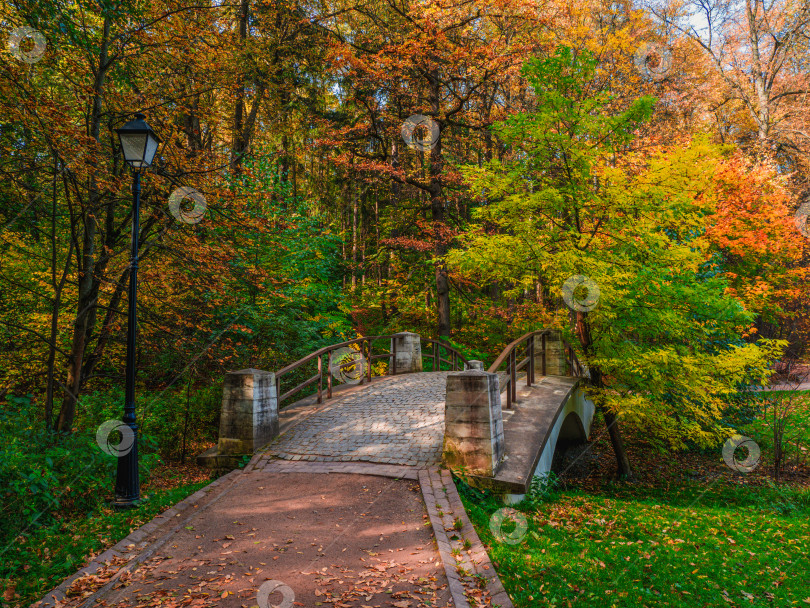 Скачать Осенняя тропа в солнечном парке. Опавшие красные листья на старом каменном мосту в парке. фотосток Ozero