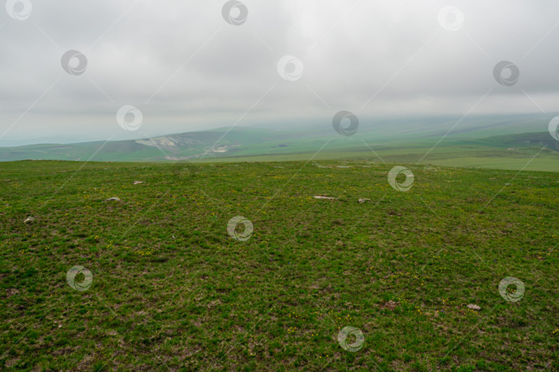 Скачать Большое горное поле, где растут зеленые растения без деревьев, с дождевым фронтом на горизонте. фотосток Ozero