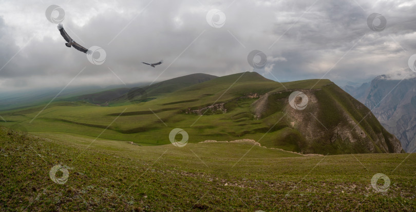 Скачать Прекрасный панорамный пейзаж на дождливом высокогорном плато. фотосток Ozero