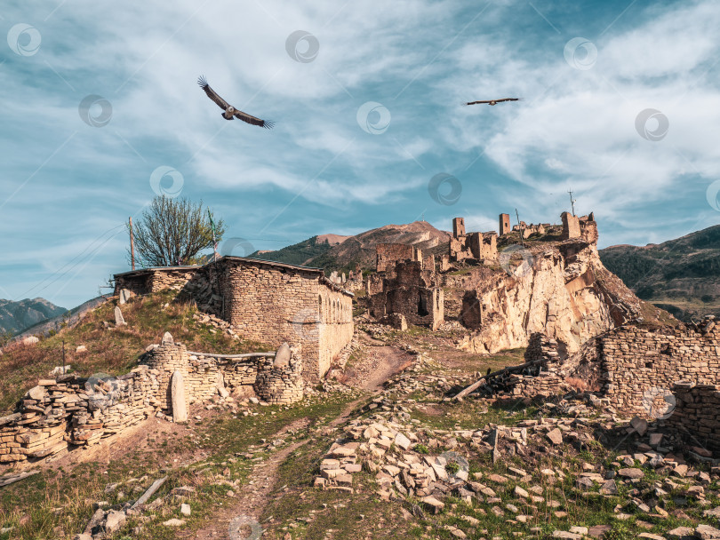 Скачать Летний вид на руины и башни аула-призрака Гур в Дагестане при вечернем освещении. фотосток Ozero