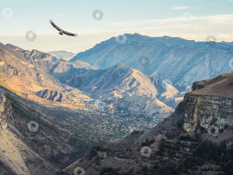 Скачать Город в глубоком горном ущелье. Аутентичная дагестанская горная деревня. фотосток Ozero