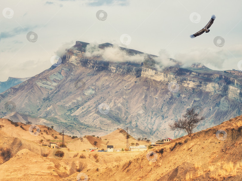 Скачать Горный пустынный пейзаж с деревней рядом с огромной горой. фотосток Ozero