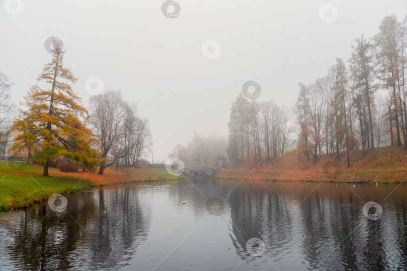 Скачать Мягкий фокус. Мистический утренний осенний пейзаж с туманом над озером. фотосток Ozero