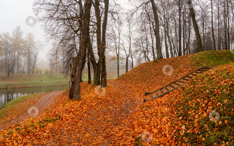 Скачать Панорамный вид на туманный осенний парк. Лестница в парке, усыпанная осенними листьями. фотосток Ozero