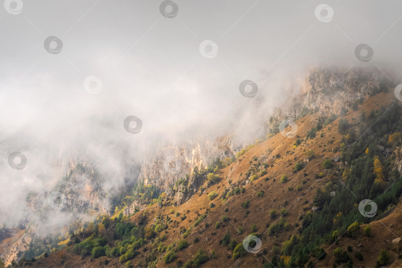 Скачать Горы в густом тумане и солнечный склон. Мистический пейзаж фотосток Ozero