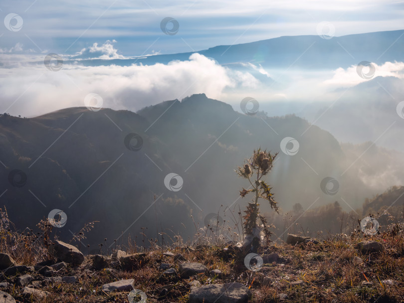 Скачать Пейзаж утренних туманных гор. Волшебное место фотосток Ozero