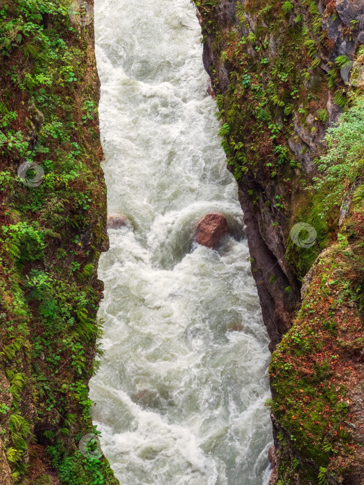 Скачать Дигорское ущелье и река Урух, текущая по его дну с головокружительной скоростью. Узкая щель в горах. фотосток Ozero