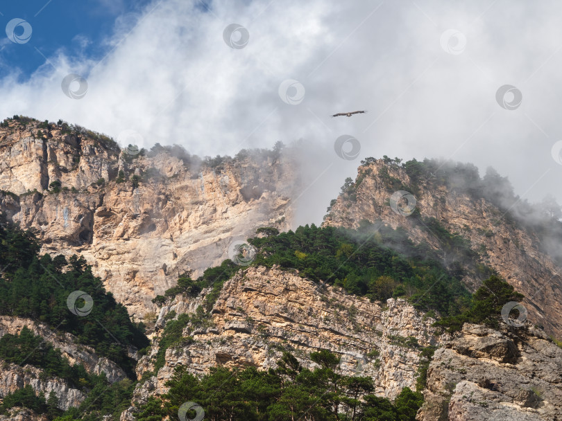 Скачать Живописный пейзаж с осенней горной долиной на фоне большой горы фотосток Ozero