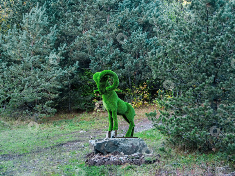 Скачать Статуя зеленого горного козла в Национальном природном парке Алании фотосток Ozero