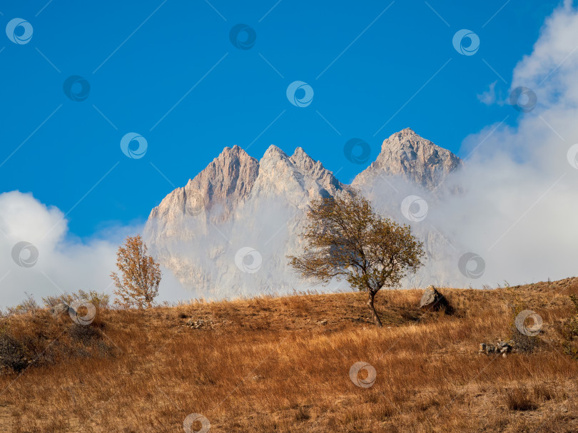 Скачать Осенний горный пейзаж с остроконечными скалами в ясный солнечный день. фотосток Ozero