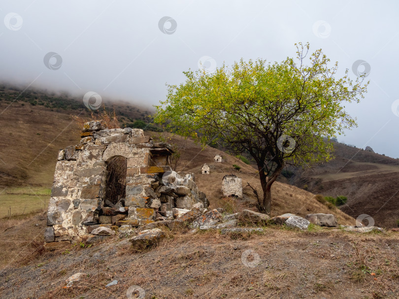 Скачать Старый фамильный склеп на туманном горном склоне. Комплекс башен Старого Эрзи в ущелье Джейра, расположенном на оконечности горного хребта в Ингушетии, Россия. фотосток Ozero