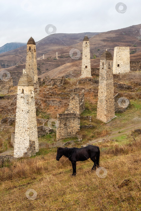 Скачать Гордый вороной конь на фоне древних боевых башен в Ингушетии. Средневековый башенный комплекс Эрзи, одна из крупнейших средневековых башенных деревень замкового типа. фотосток Ozero