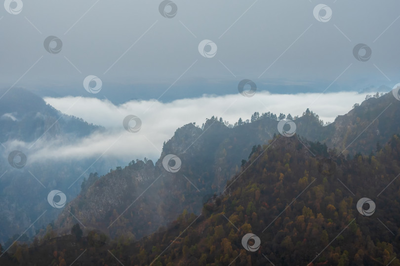 Скачать Мягкий фокус. Прохладный утренний туман над лесистыми горными склонами. фотосток Ozero