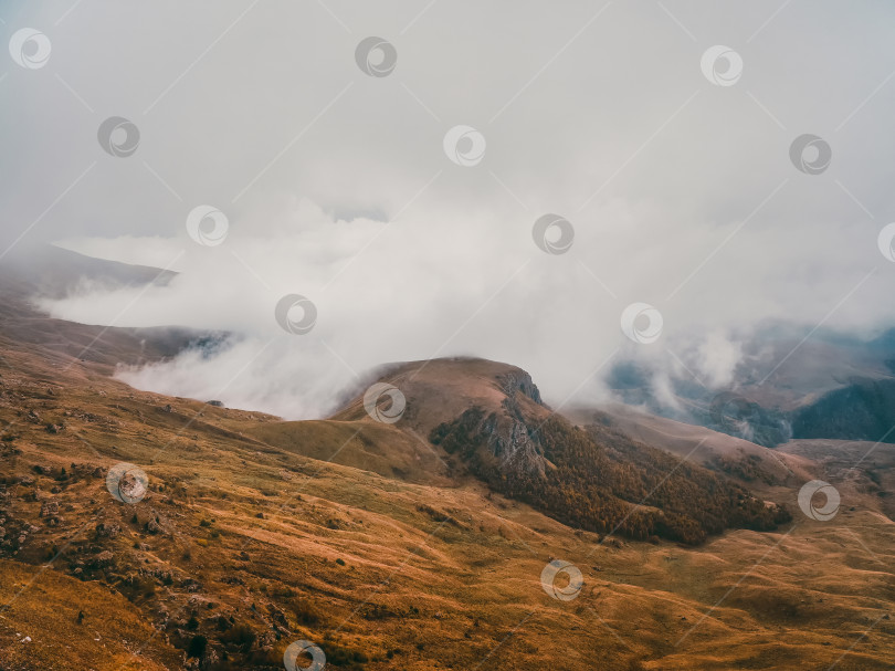 Скачать Чудесный альпийский пейзаж с великолепным плато и горным туманом фотосток Ozero