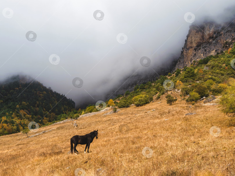 Скачать Осеннее горное плато, живописный утренний солнечный вид. фотосток Ozero