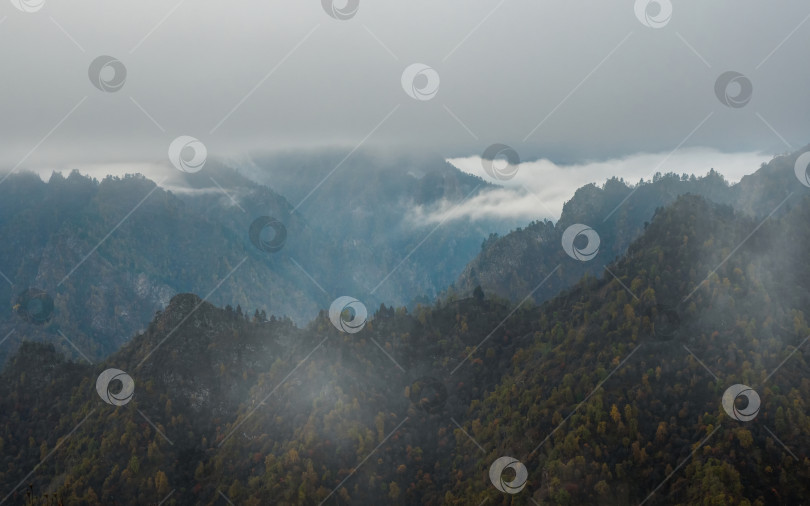 Скачать Прохладный утренний туман над лесистыми горными склонами. фотосток Ozero