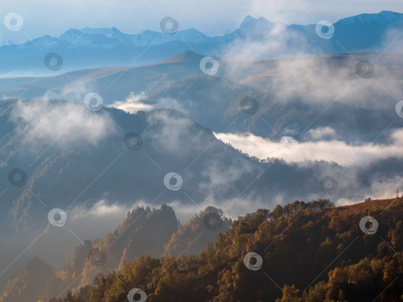 Скачать Горы в густом тумане и солнечный склон. Мистический пейзаж с красивыми острыми скалами в низких облаках. Красивый горный туманный пейзаж на краю пропасти с острыми лесистыми склонами. Удивительная земля. фотосток Ozero
