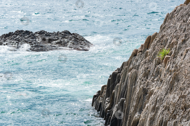 Скачать скалистый берег моря, образованный столбчатым базальтом на фоне прибоя, прибрежный пейзаж острова Кунашир фотосток Ozero