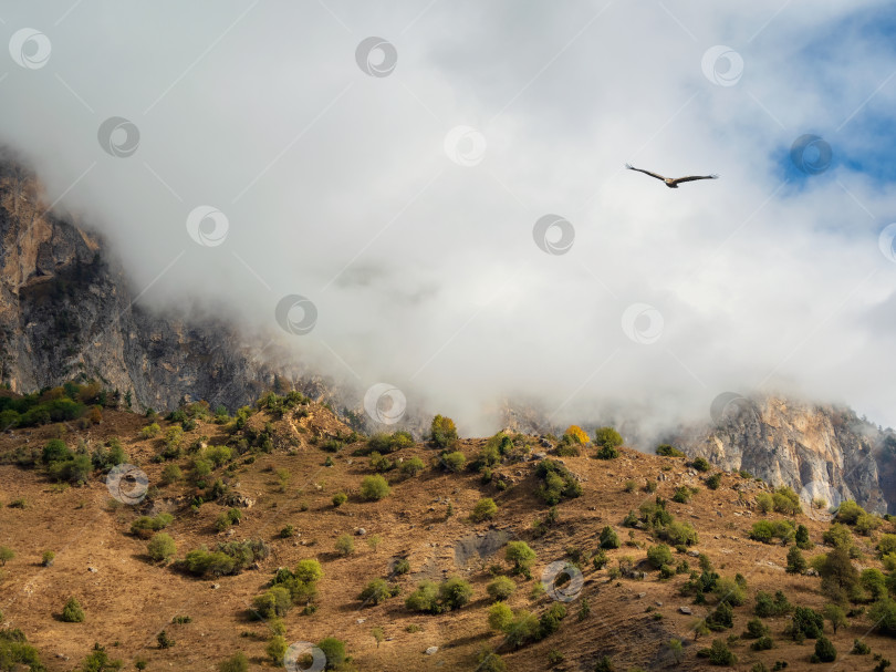 Скачать Мягкий фокус. Горный перевал в Ингушетии. Чудесный пейзаж с величественными кавказскими скалами и горами в густых низких облаках. Атмосферный пейзаж высокогорья с горными вершинами под облаками. фотосток Ozero