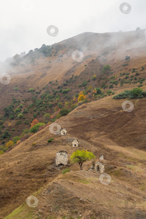 Скачать Старые семейные склепы на туманном горном склоне. Комплекс башен Старого Эрзи в ущелье Джейра, расположенном на оконечности горного хребта в Ингушетии, Россия. фотосток Ozero
