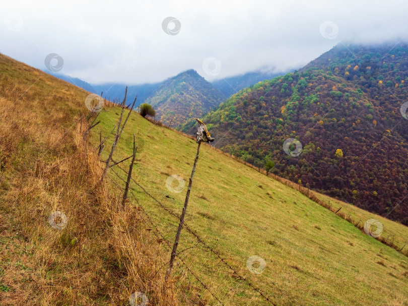 Скачать Увядший осенний пейзаж с увядшими лугами фотосток Ozero