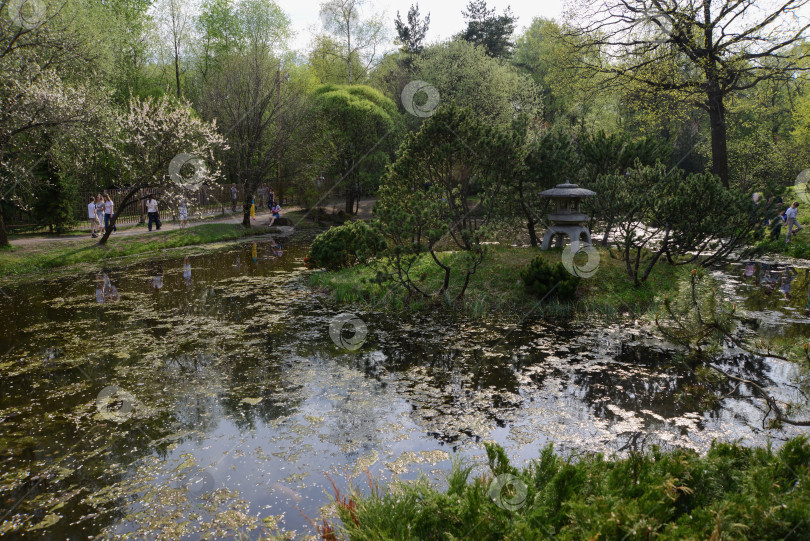 Скачать Японский сад в московском ботаническом саду фотосток Ozero