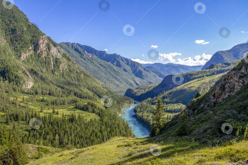 Скачать Река Катунь течёт между гор. Река Катунь протекает между горами. фотосток Ozero