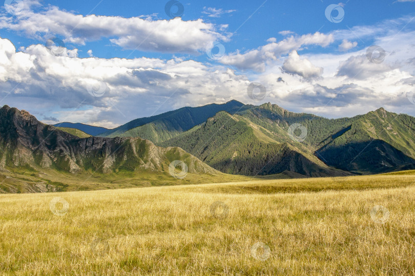 Скачать Алтай. Предгорья Алтая на фоне неба фотосток Ozero
