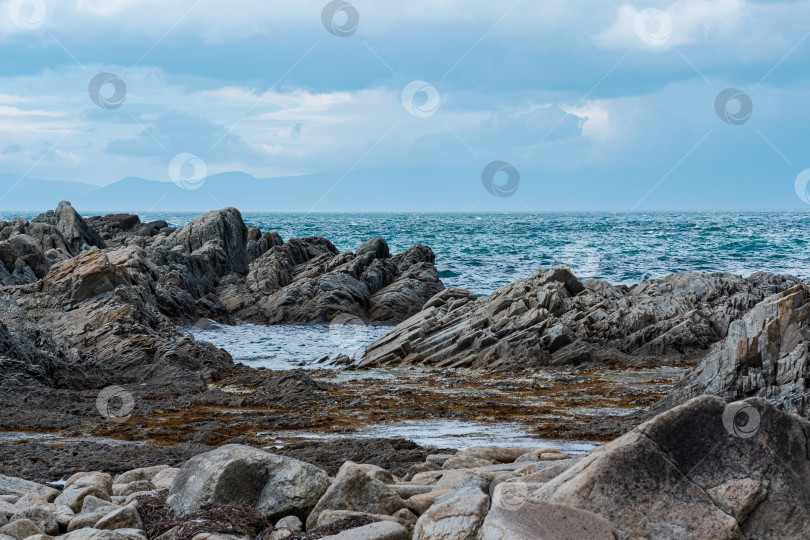Скачать острые зазубренные базальтовые скалы на морском побережье фотосток Ozero