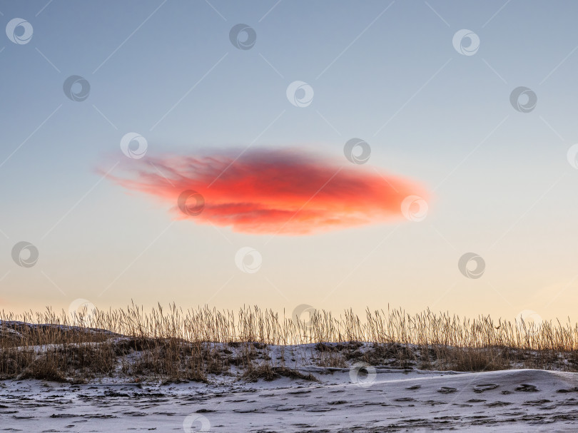 Скачать Облако, похожее на НЛО. Линзовидное облако над землей фотосток Ozero