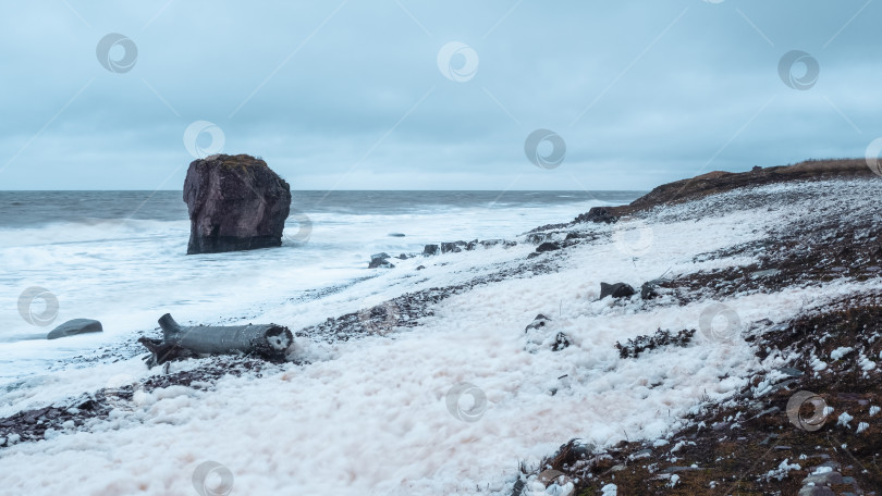 Скачать Панорамный штормовой пейзаж с белой морской пеной на берегу, поваленным деревом и большим камнем, торчащим из воды. фотосток Ozero