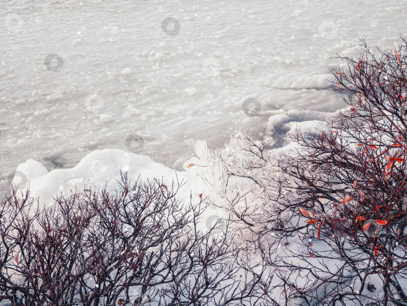 Скачать Зимний вид льда на кустах возле заснеженного озера. Пейзаж полярного заката со льдом фотосток Ozero