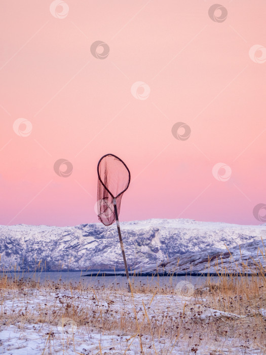 Скачать Минималистичный зимний арктический пейзаж с сетью на берегу, покрытом редкой растительностью, и ярко-розовым небом фотосток Ozero