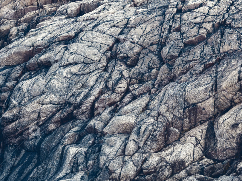 Скачать Скальные образования - слои горных пород, крупный план, монохромный вид. Волновая текстура, скальное образование в Баренцевом море фотосток Ozero