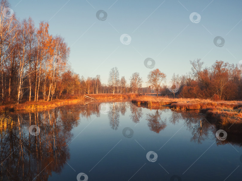 Скачать Солнечный утренний пейзаж с осенним прудом. фотосток Ozero