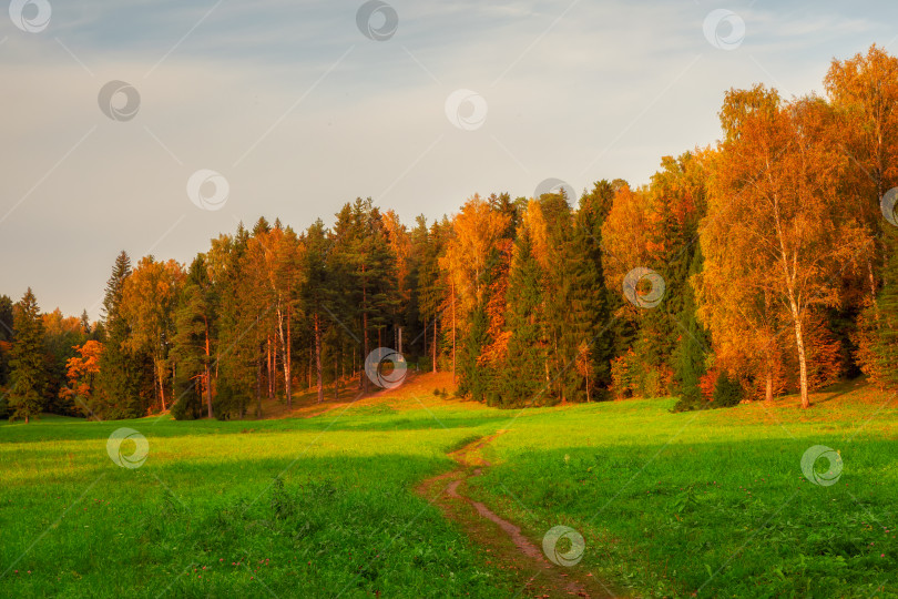 Скачать Тропинка через поле к осеннему лесу. фотосток Ozero