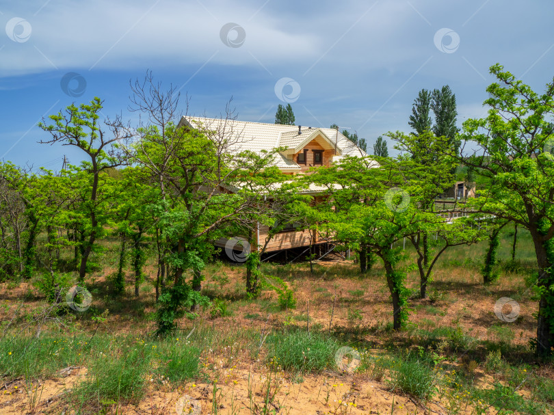 Скачать Гостевой дом с белой крышей. Деревянный коттедж в окружении пышной зелени в пустыне. фотосток Ozero
