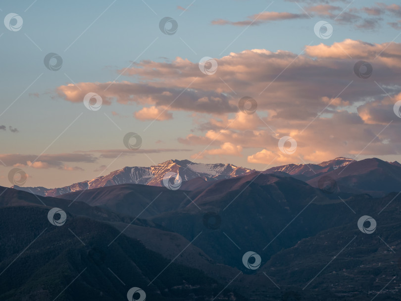 Скачать Кавказские горы на рассвете. Атмосферный пейзаж с силуэтами гор на фоне розового рассветного неба. Красочный природный пейзаж с закатом или восходом солнца. Закат в блеклых тонах. фотосток Ozero