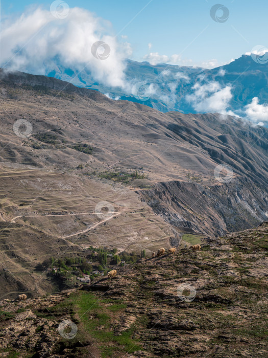 Скачать Высоко в горах пасется стадо овец. Высотный пейзаж с облаками над горами. фотосток Ozero