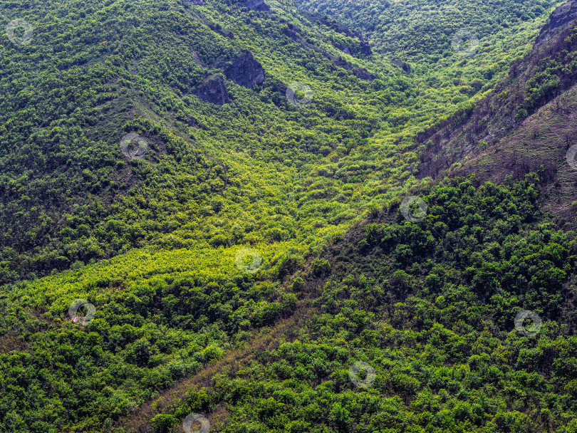Скачать Крутые горные склоны, покрытые лесом. Зеленая планета. Солнечный природный фон с зелеными горами. фотосток Ozero