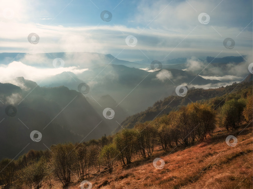 Скачать Солнечное и туманное утро. Прохладный утренний туман над лесной горой фотосток Ozero