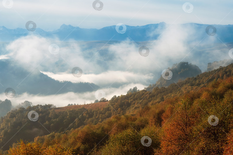 Скачать Прохладный утренний туман над лесистыми горными склонами. фотосток Ozero