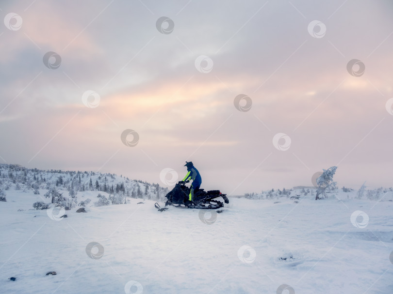 Скачать Мужчина на снегоходе на вечернем полярном холме. Одинокий мужчина поднимается на холм на снегоходе. Экстремальные зимние виды спорта, активный полярный отдых в суровой северной природе. фотосток Ozero
