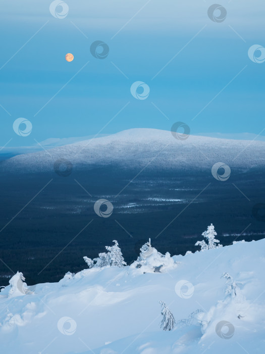 Скачать Полная луна над заснеженным склоном полярного холма зимой. Зимний полярный пейзаж. Холодная зимняя погода. Суровый северный климат. Вертикальный вид. фотосток Ozero