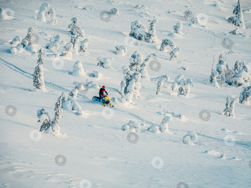 Скачать Всадник на снегоходе на зимнем снежном холме. Одинокий мужчина спускается с холма на снегоходе. Экстремальные зимние виды спорта, активный полярный отдых в суровой северной природе. фотосток Ozero