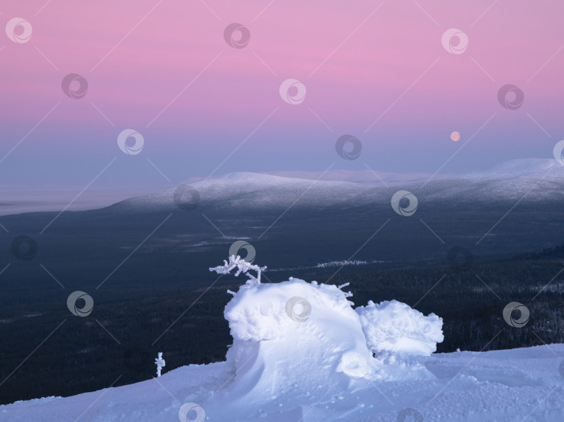 Скачать Заснеженный горный склон с причудливыми белыми деревьями ночью фотосток Ozero