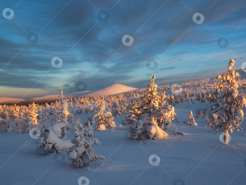 Скачать Зимний лес у подножия вулкана. Зимний заснеженный лес фотосток Ozero