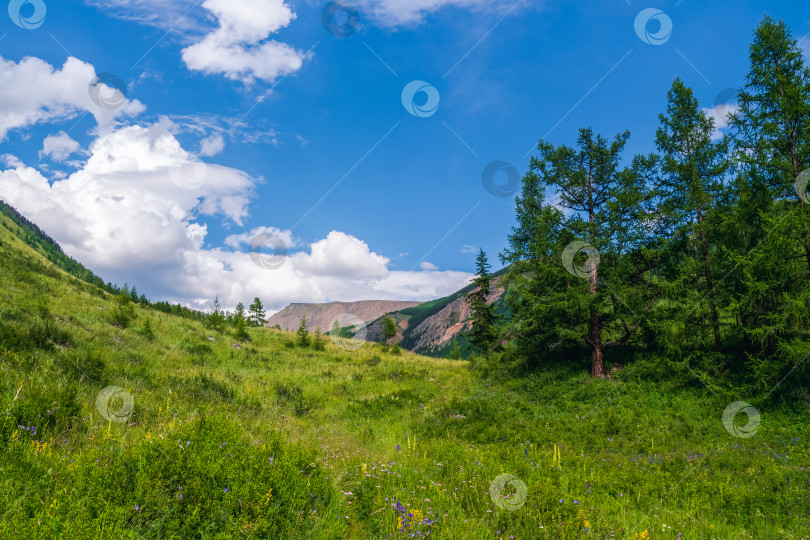 Скачать Чудесный летний пейзаж с прекрасными зелеными горами фотосток Ozero