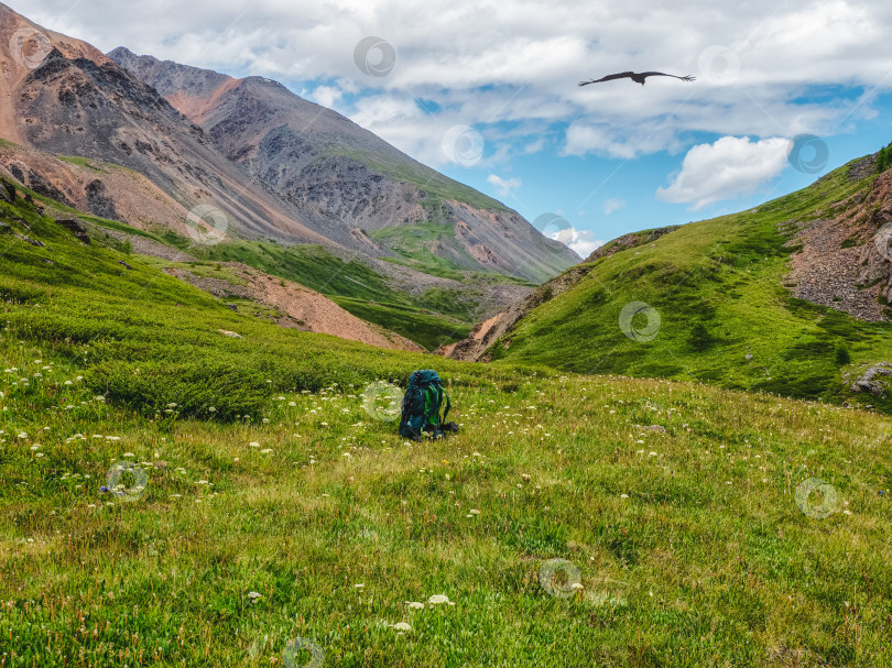 Скачать Большой зеленый рюкзак на траве альпийского склона. Пеший туризм в высокогорье. Удивительный яркий горный пейзаж величественной природы. Время остановки в походе. фотосток Ozero